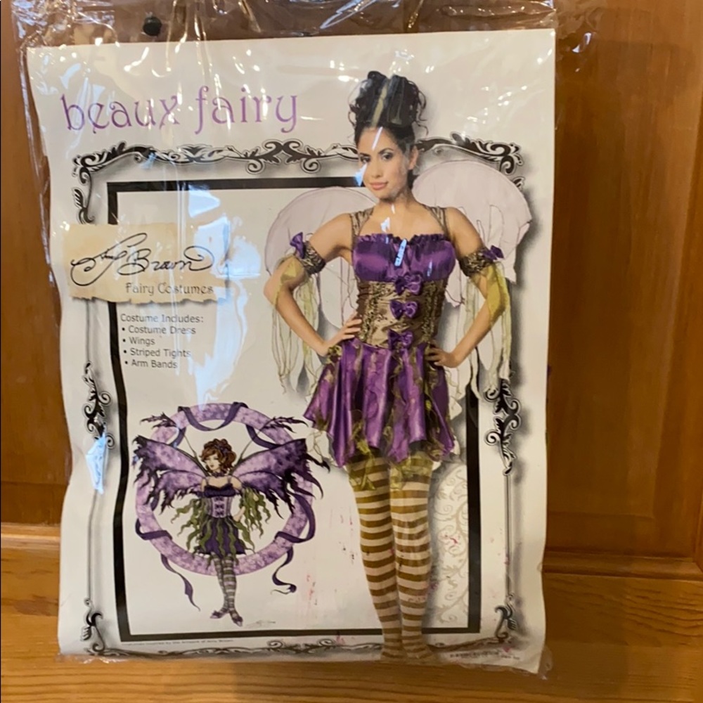 Women’s fairy costume